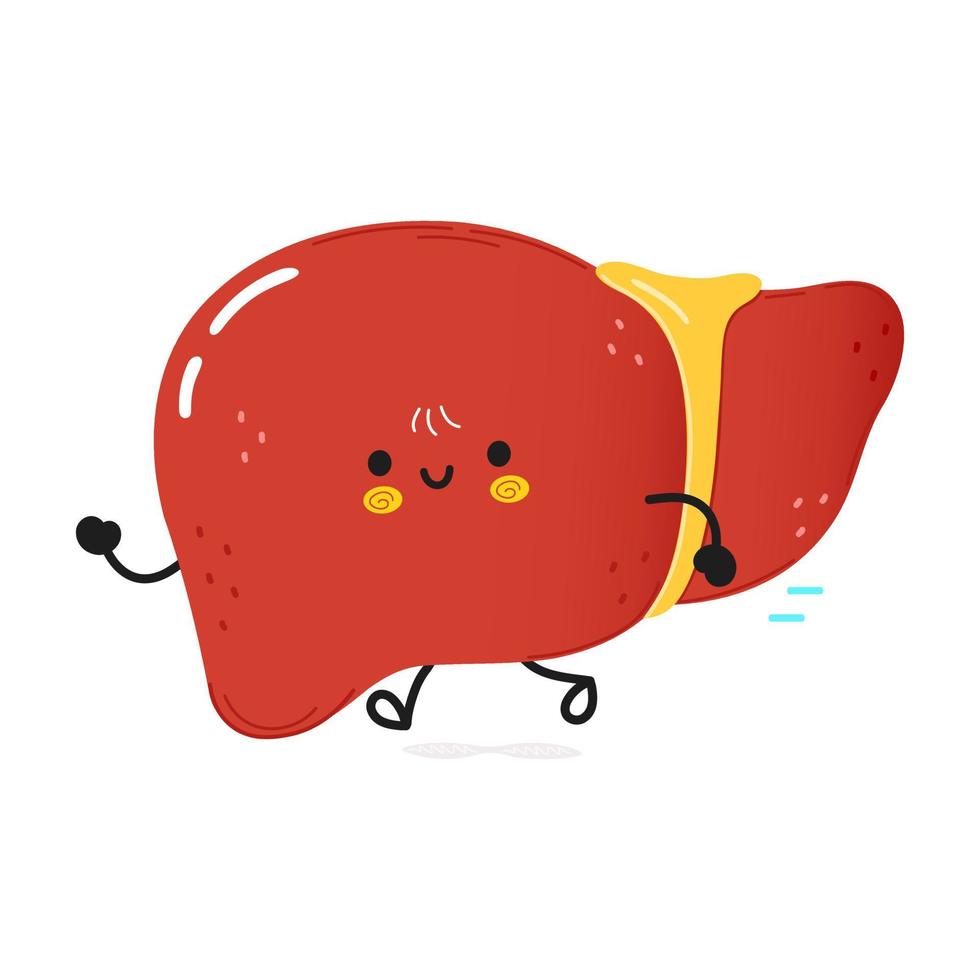 Cute funny running liver. Vector hand drawn cartoon kawaii character illustration icon. Isolated on white background. Run liver concept