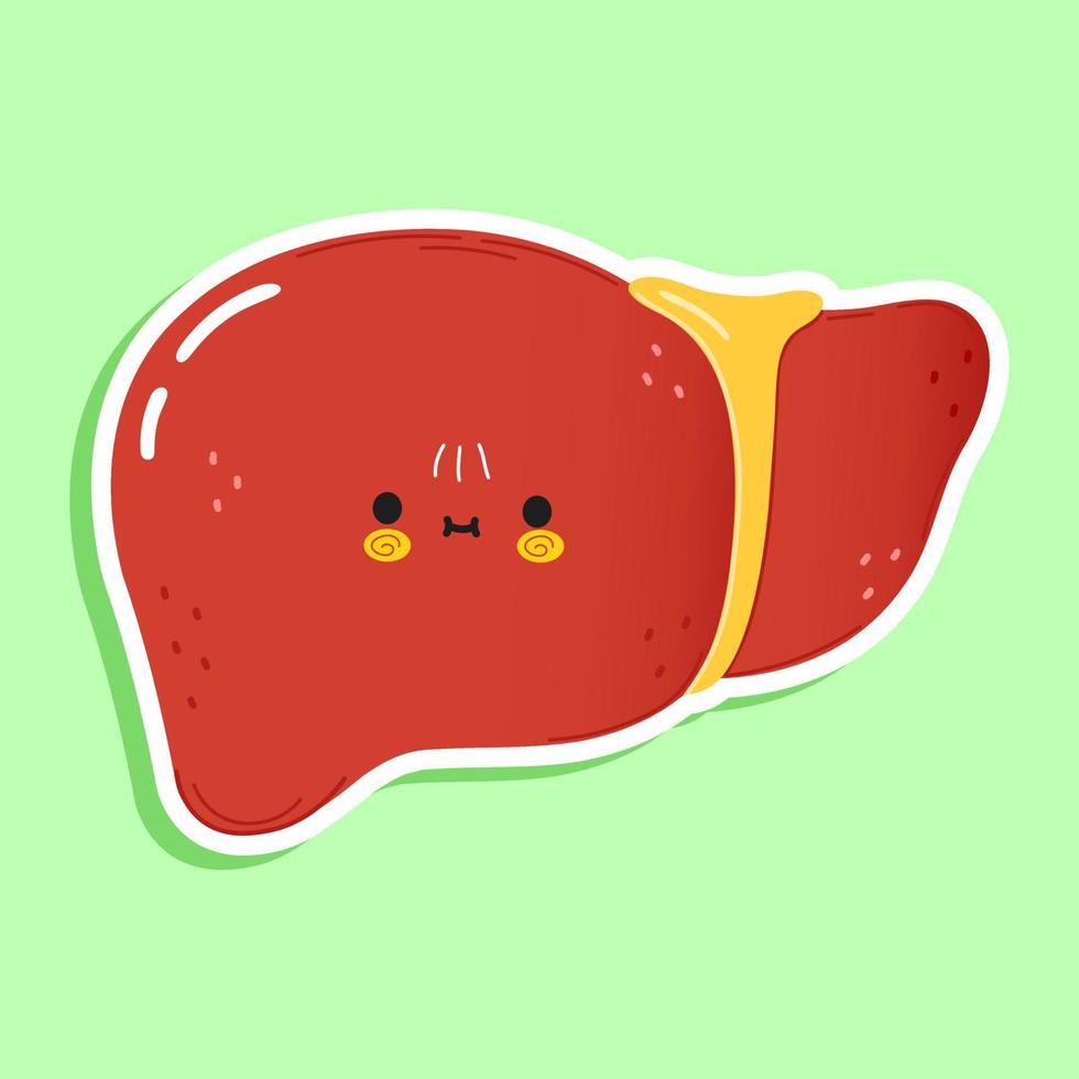 Cute sticker liver character. Vector hand drawn cartoon kawaii character illustration icon. Isolated on green background. Liver sticker character concept
