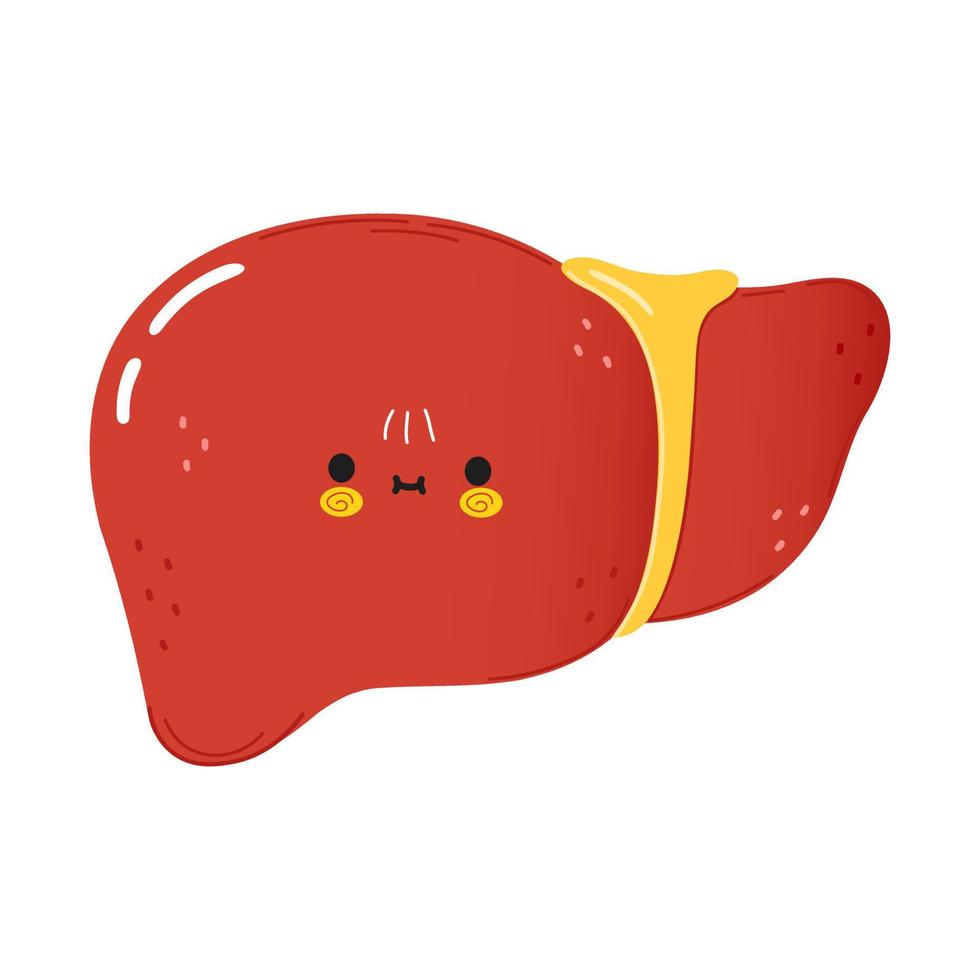 Cute funny liver character. Vector hand drawn cartoon kawaii character illustration icon. Isolated on white background. Liver character concept