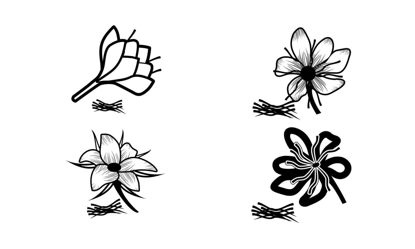 set of saffron flower icon, crocus Flower, flower vector on white background