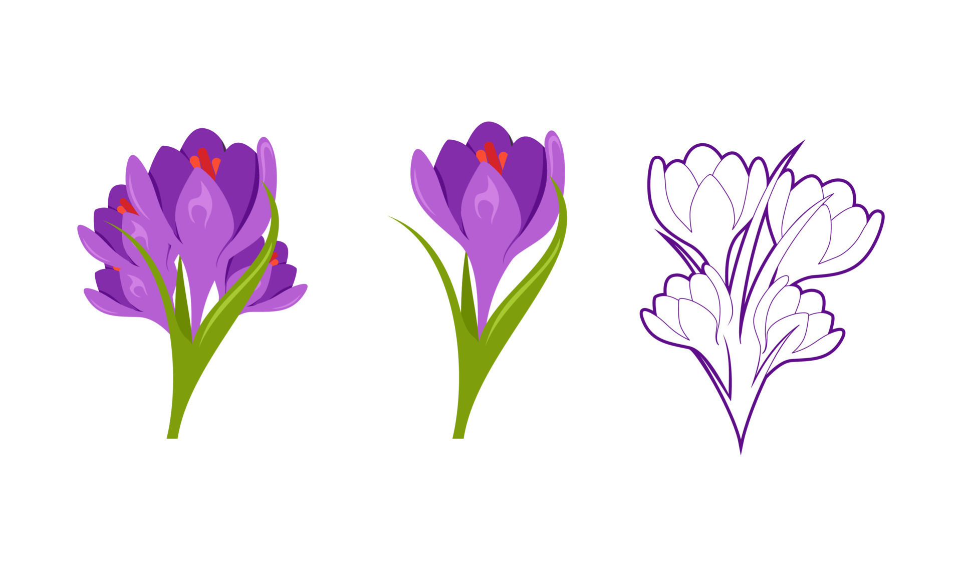 Set of Saffron flower icon vector 20928742 Vector Art at Vecteezy