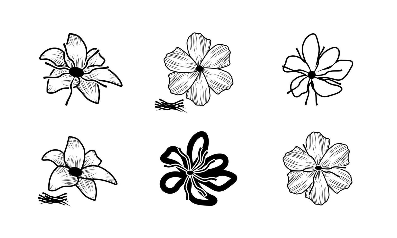 set of saffron flower icon, crocus Flower, flower vector on white background