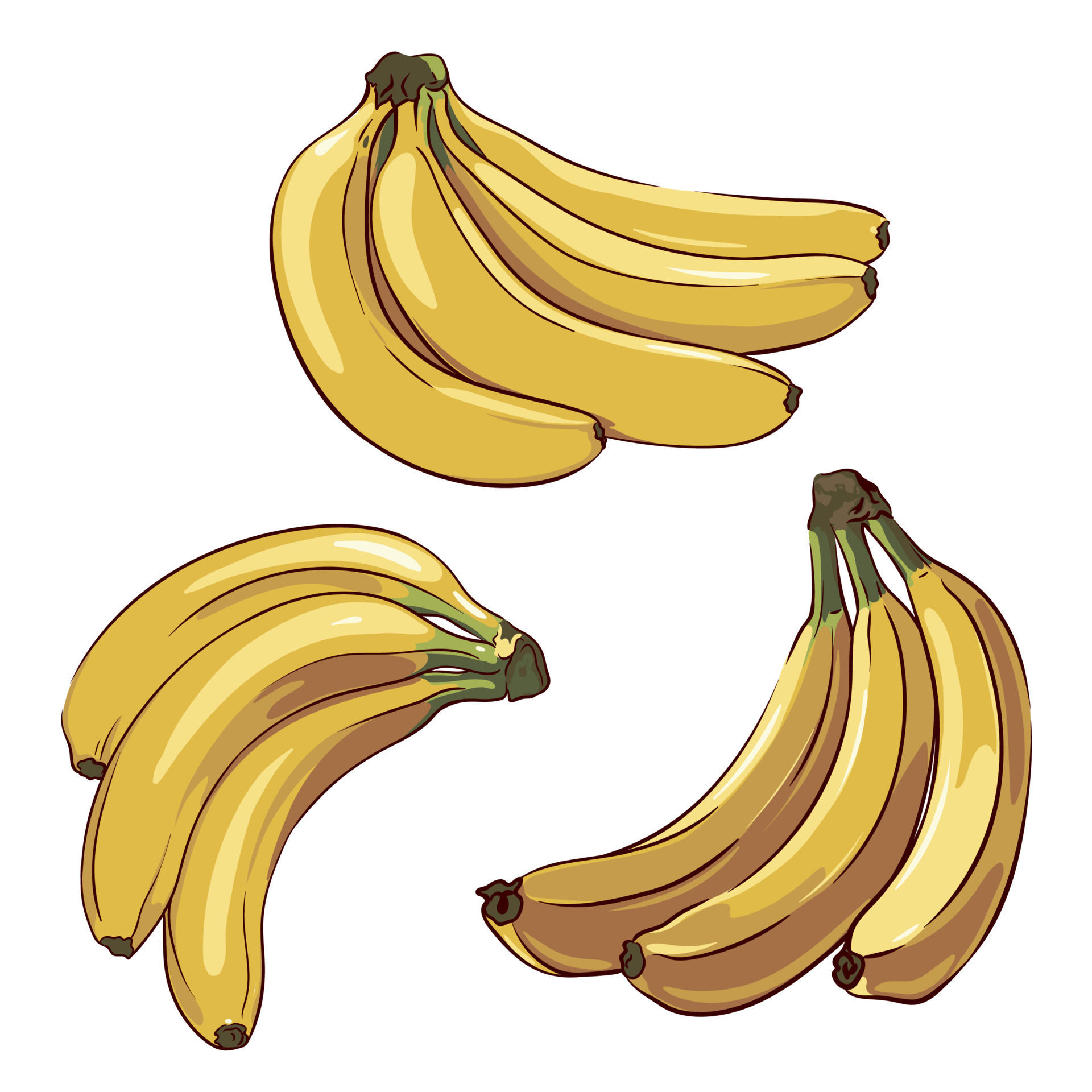 set of bunches of ripe yellow bananas isolated on white background