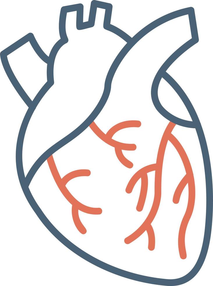 Heart Vector Icon