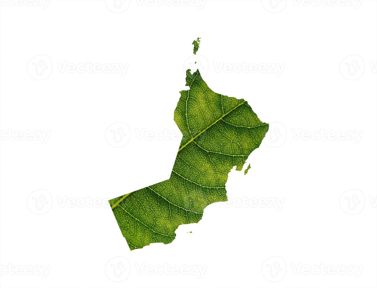 Oman map made of green leaves on soil background ecology concept photo