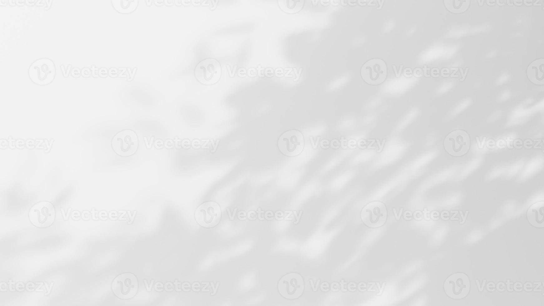 white background of organic shadow over white textured wall photo