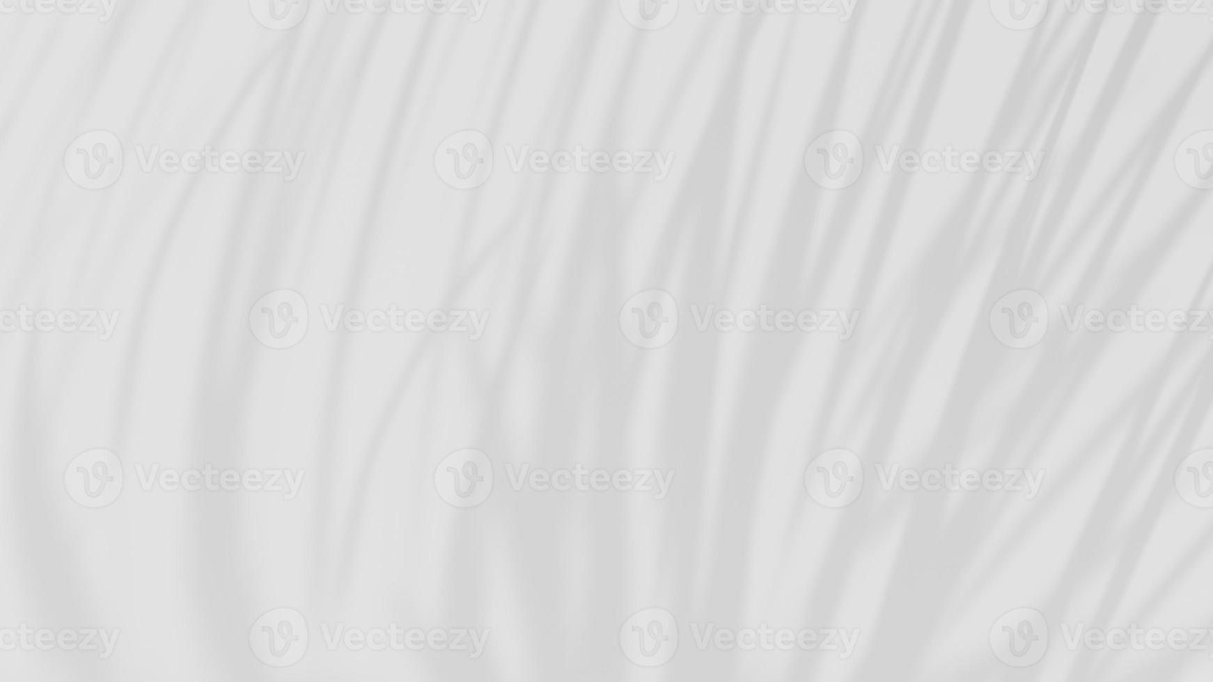 white background of organic shadow over white textured wall photo