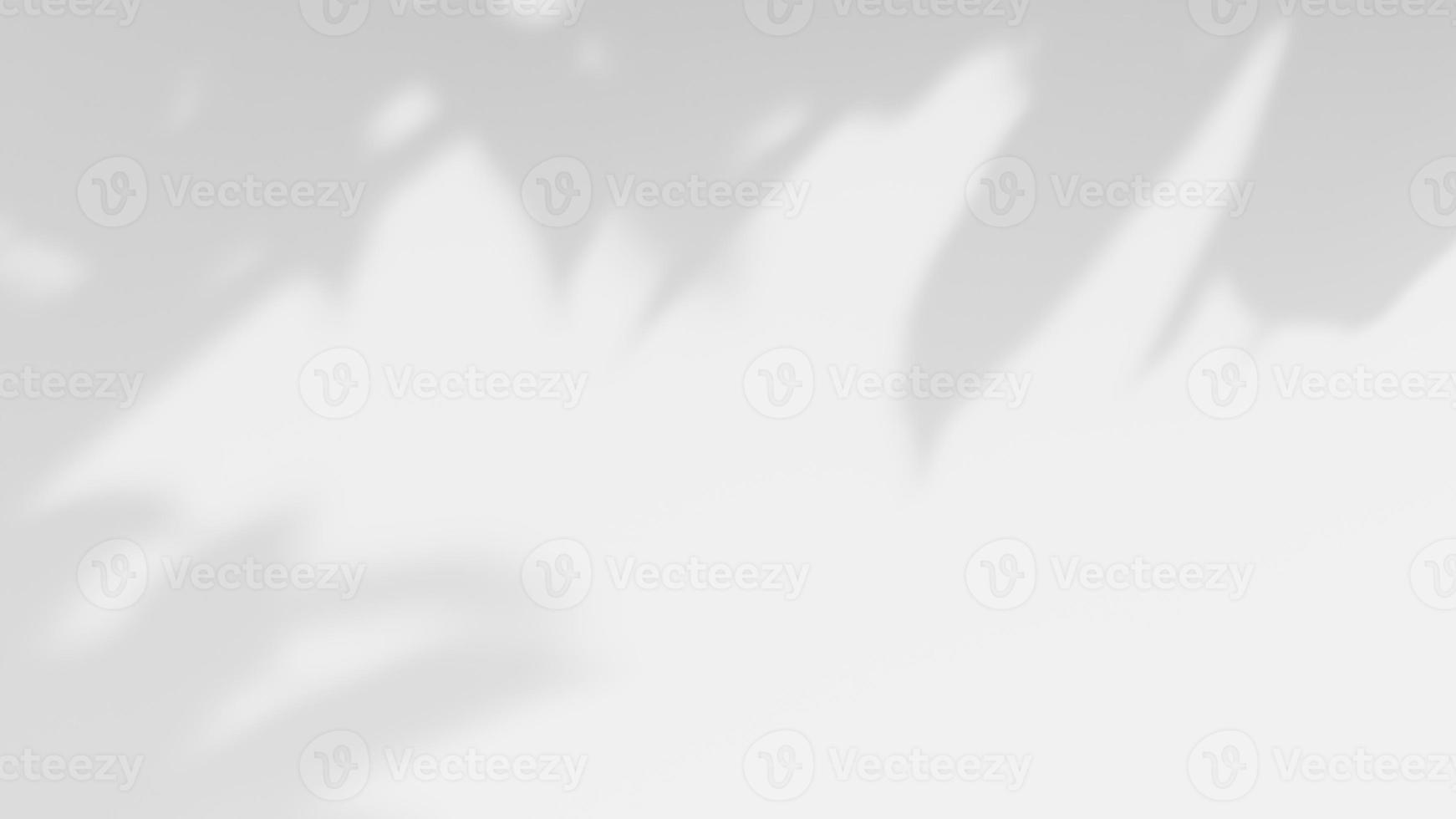 white background of organic shadow over white textured wall photo