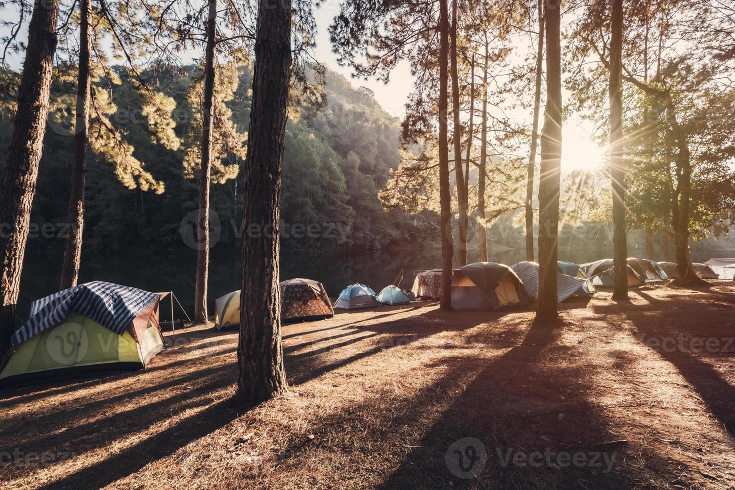 Sunset at camping site with tent in the pine forest photo