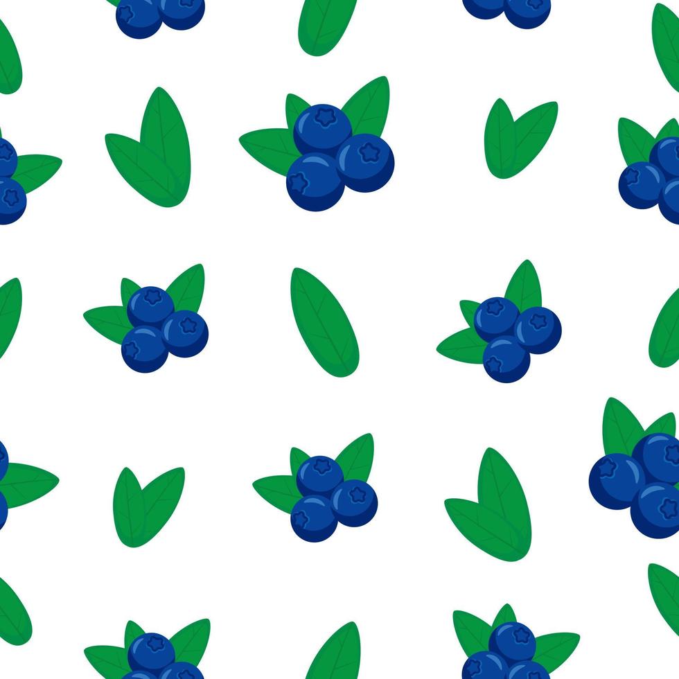 Seamless blueberry pattern on white background vector