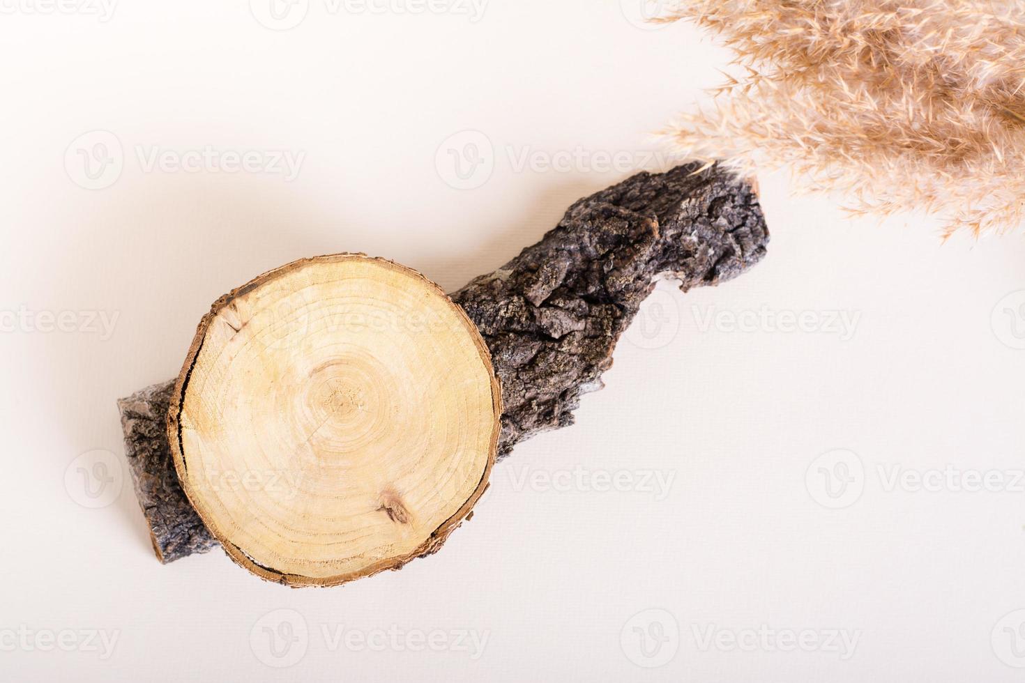 Natural mock-up from a tree cut on the bark and ears of grass on a light background. Top view photo