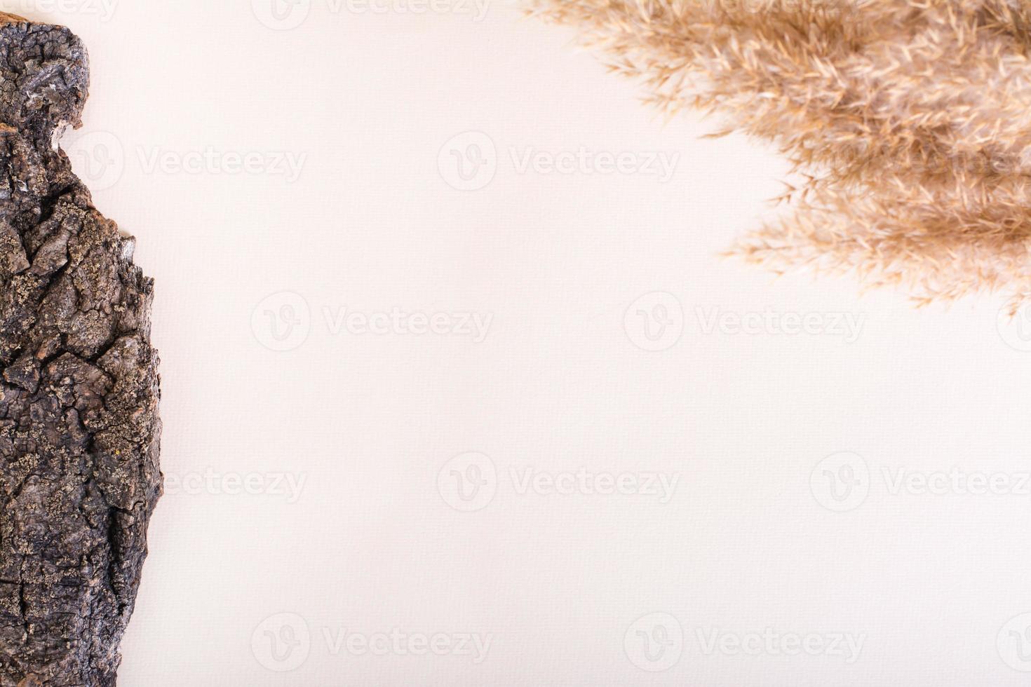 Natural mock-up from tree bark and ears of grass on a light background. Top view photo