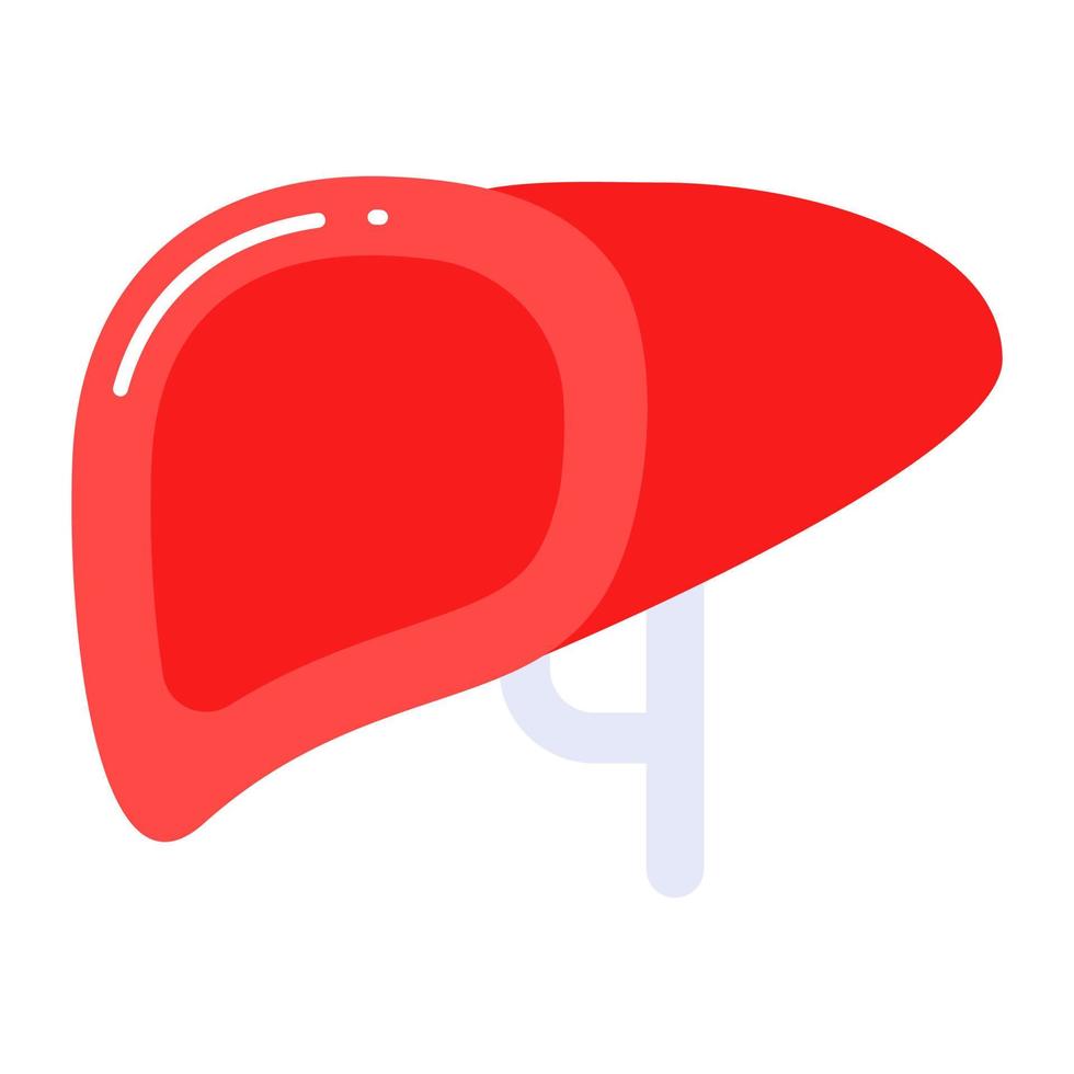 The latest in modern style vector human liver organ icon