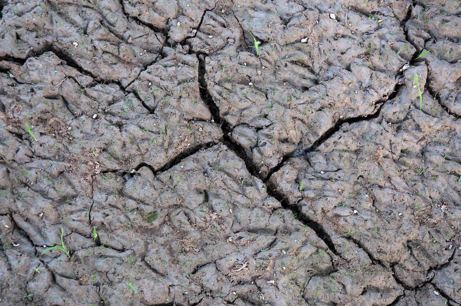 Cracked and barren ground,Dry soil textured background photo