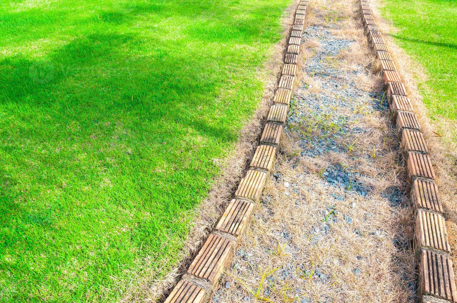 pasarela curva en césped a jardín, un camino, pasarela desde el parque foto