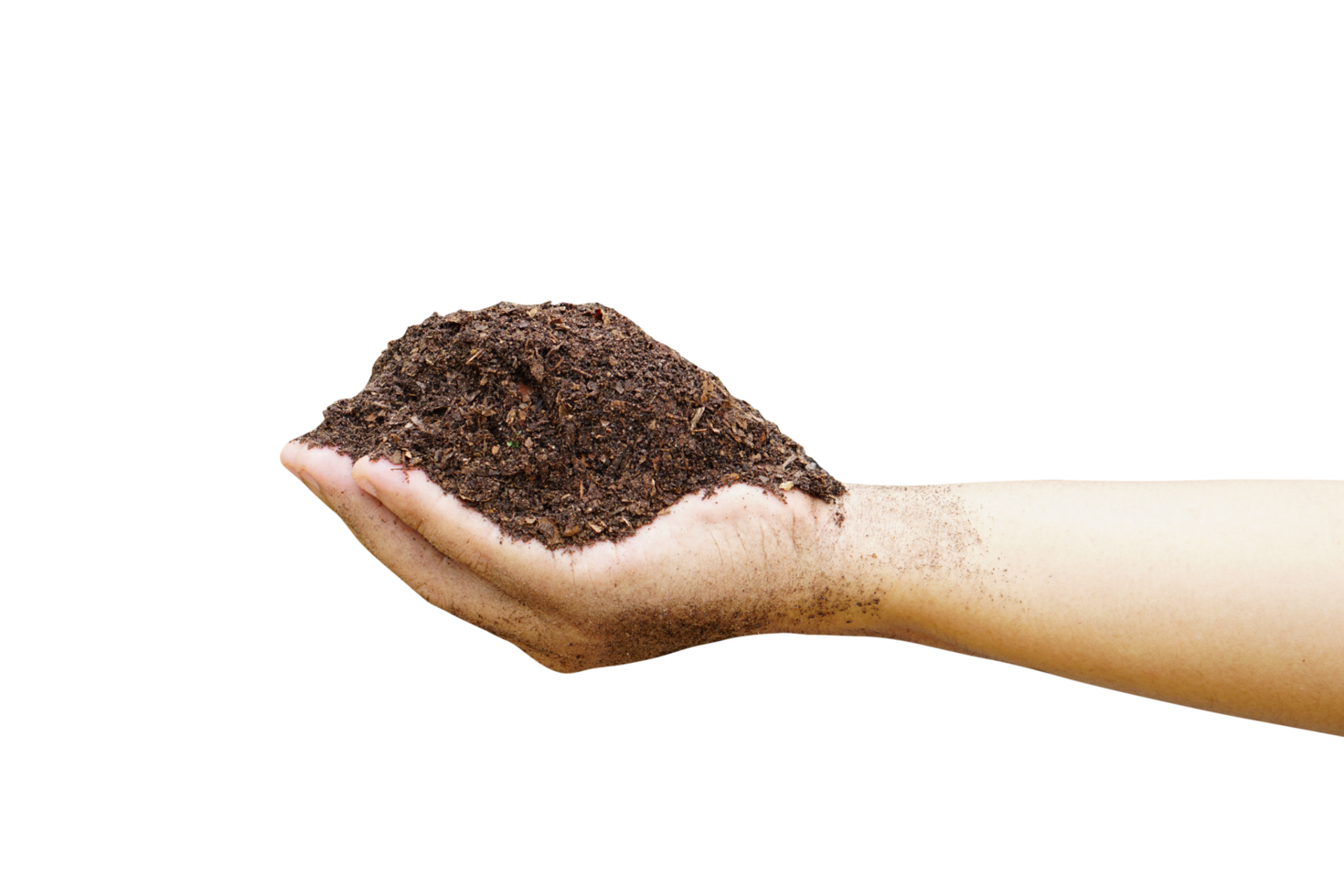 Soil for growing plants in human hands png