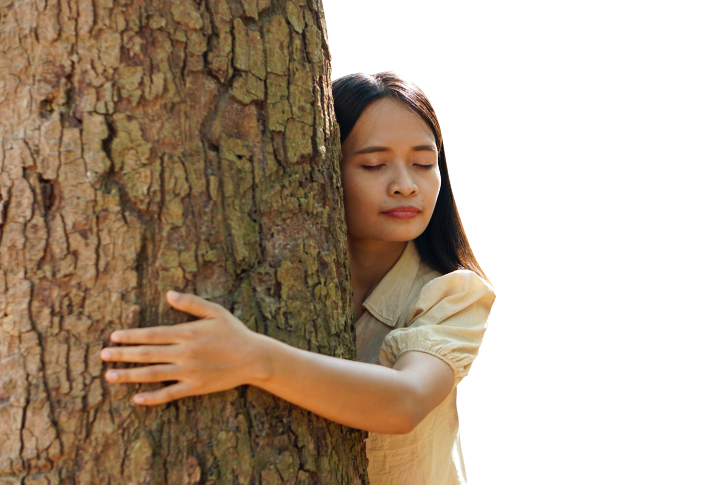 concept of saving the world woman hugging a tree png