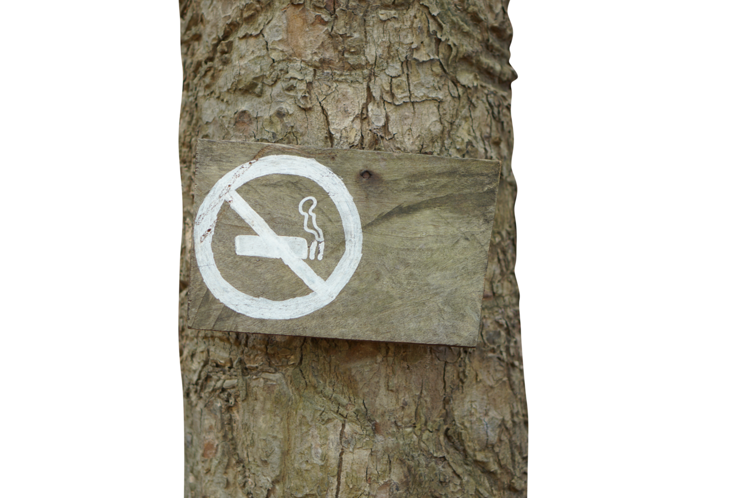 no smoking sign on the tree png