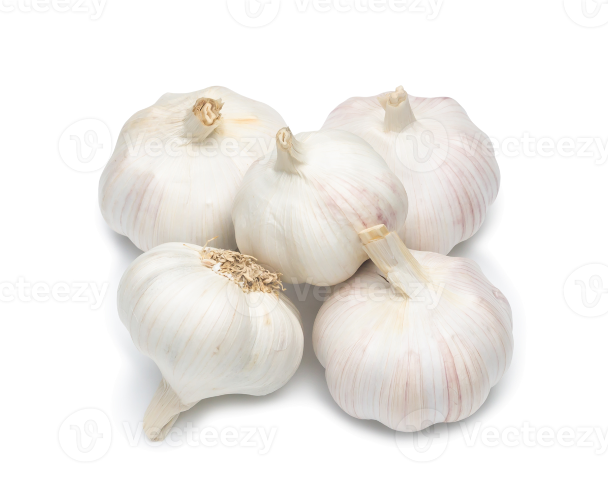 Top view of four fresh white garlic bulbs in stack isolated with clipping path and shadow in png file format, Thai herb is great for healing several severe diseases, heart attack, Hyperlipidemia