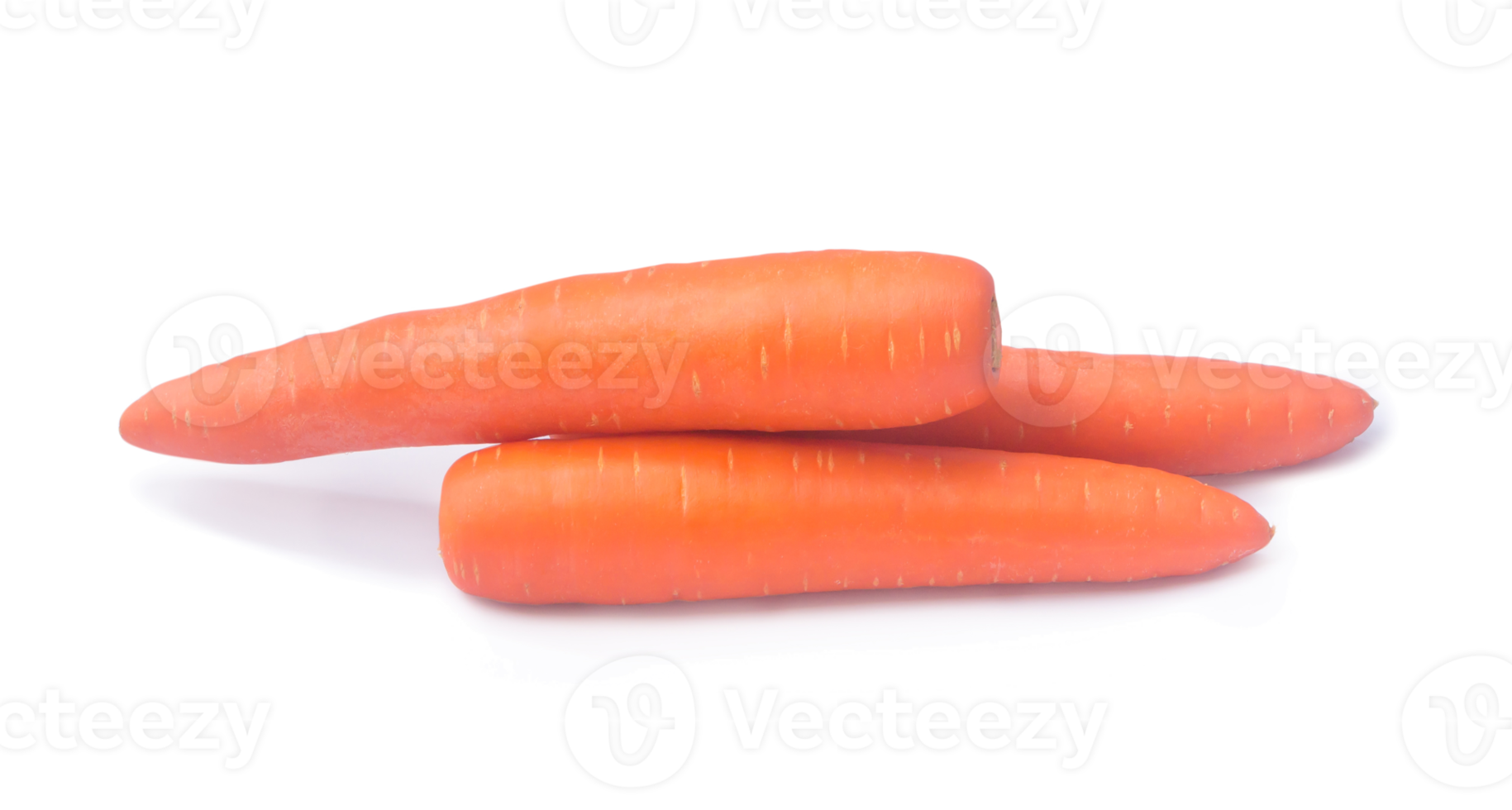 Three orange carrots vegetable in stack isolated with clipping path and shadow in png file format