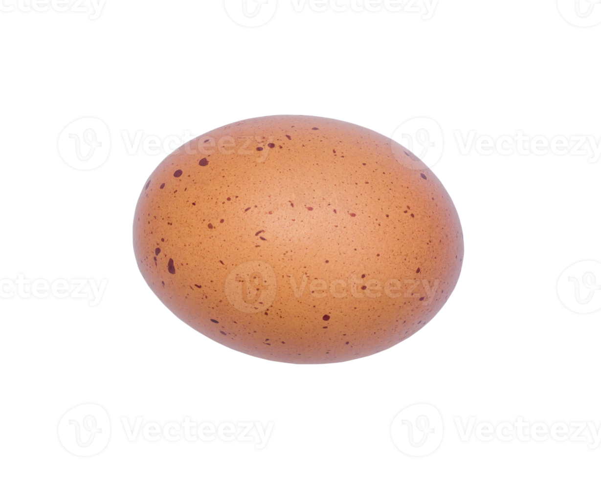 Flat laying of single fresh organic egg with spots isolated with