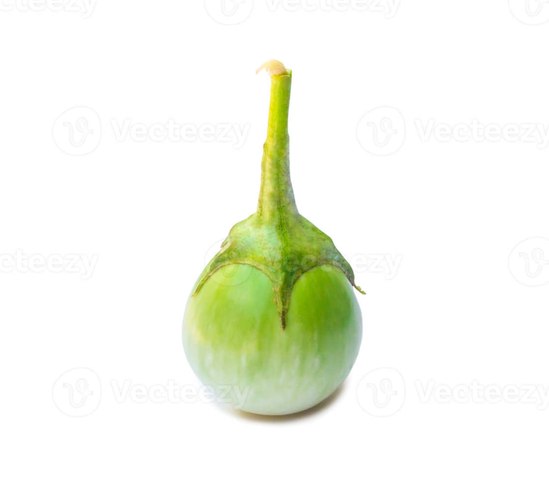 Single fresh green Thai egg plant vegetable isolated with clipping path and shadow in png file format