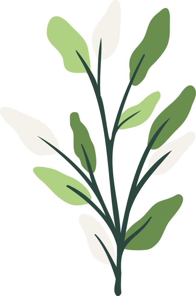 Green botanical leaves illustration vector