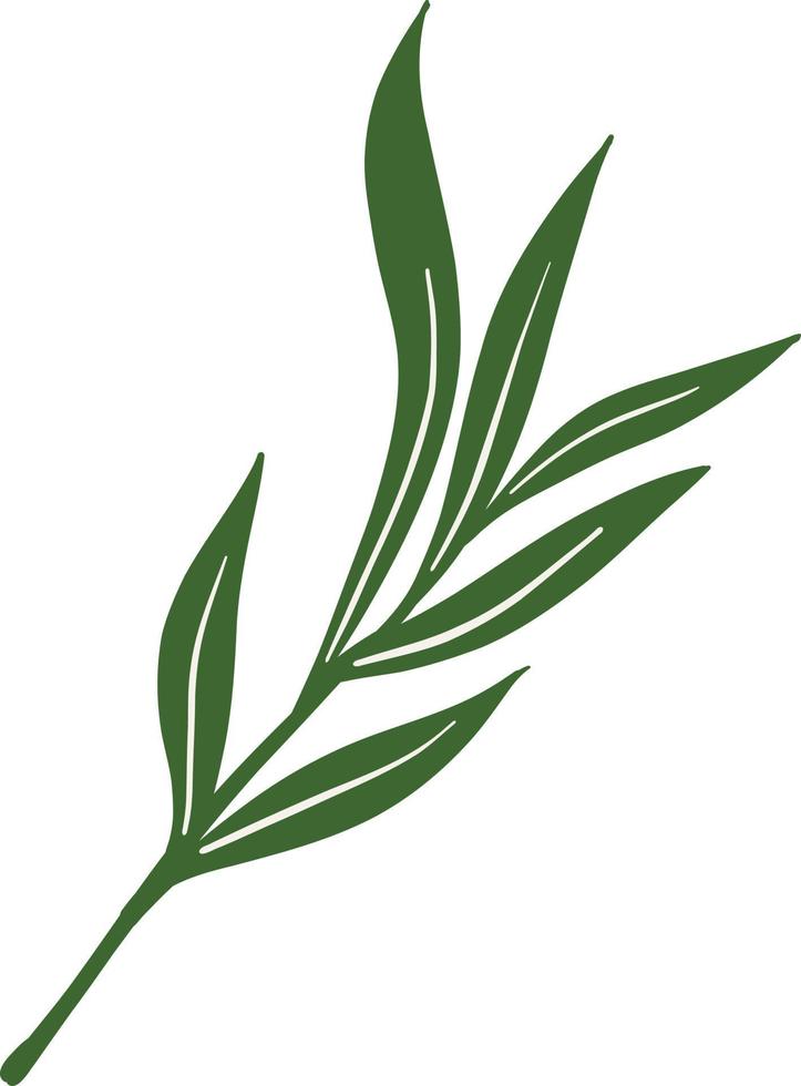 Green botanical leaves illustration vector