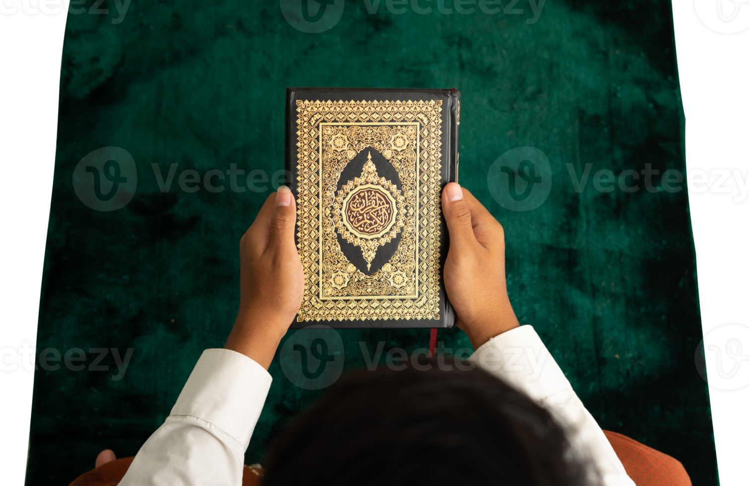 Hands holding the Quran from above png