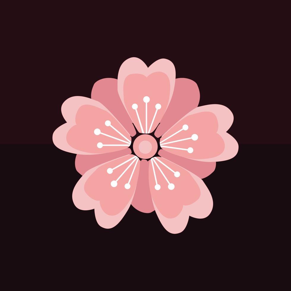 vector of pink cherry blossoms on a dark background