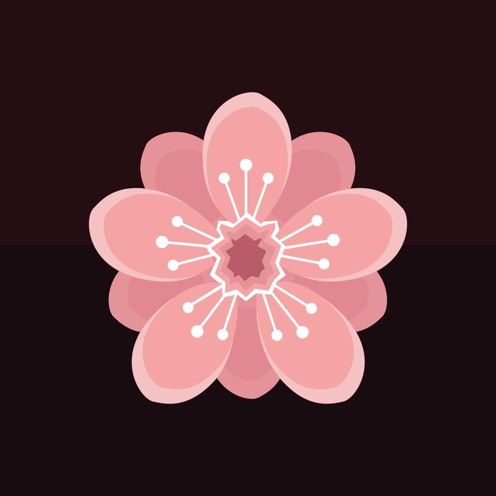 vector of pink cherry blossoms on a dark background