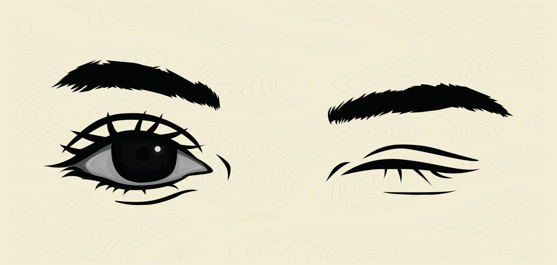 Illustration of a pair of female eyes. Eye vectors