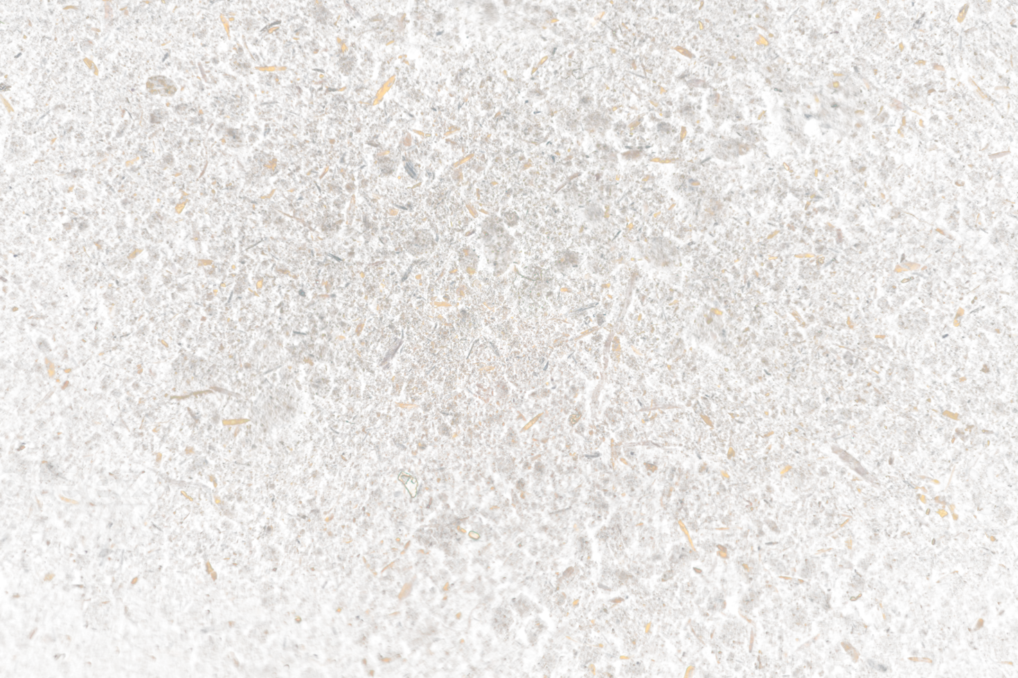 abstract soil texture png