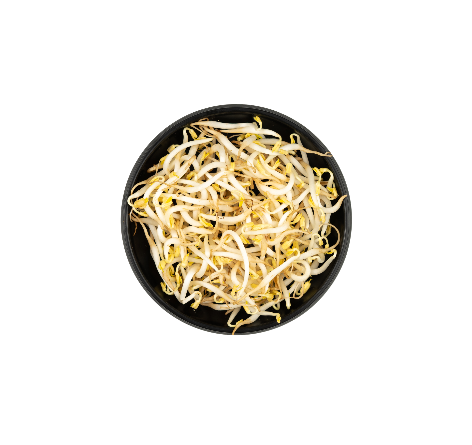Free Mung bean sprouts in a small bowl isolated. kitchen spice design