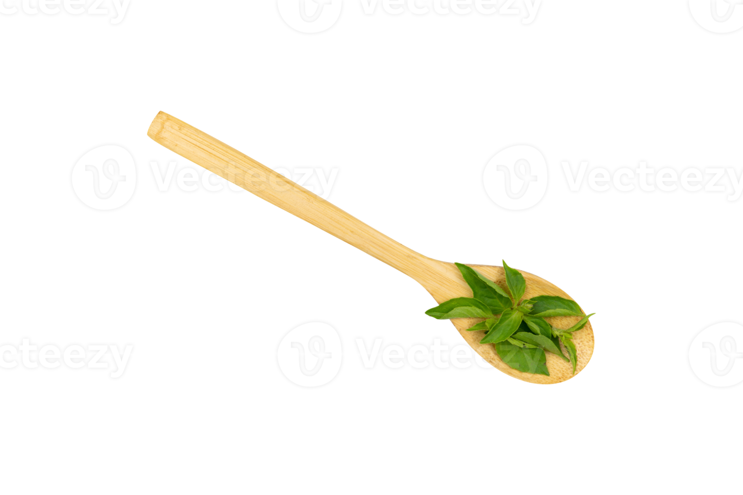 Basil leaves in a wooden spoon isolated png