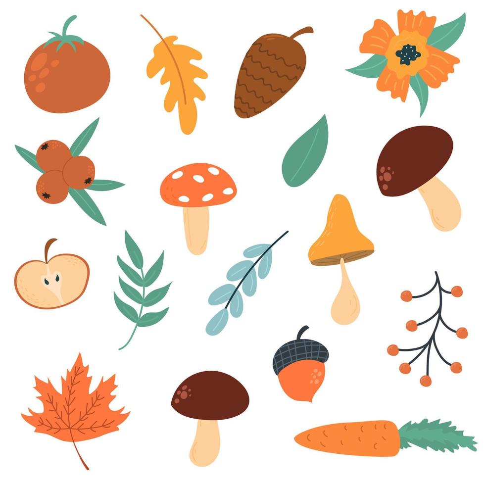 Set. forest flora. Leaves, mushrooms, cones. Vector illustration in modern cute style. Hand draw.