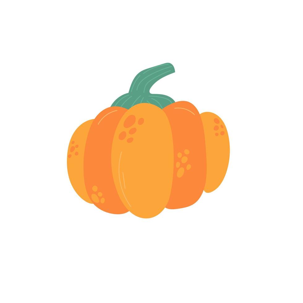Pumpkin. Isolated on a white background. sticker. Cute vector illustration.