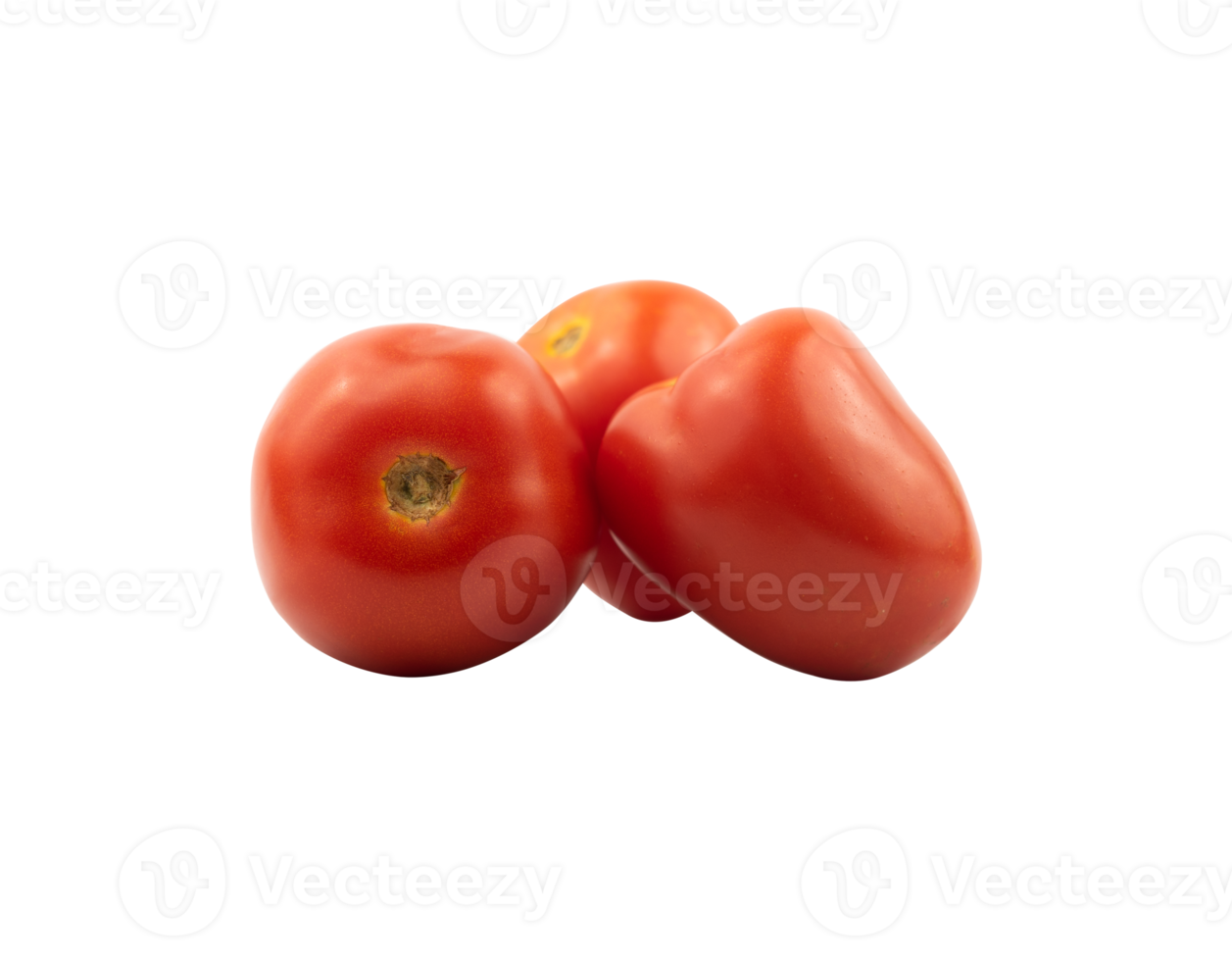 Tomate isoliert zum Design Element png