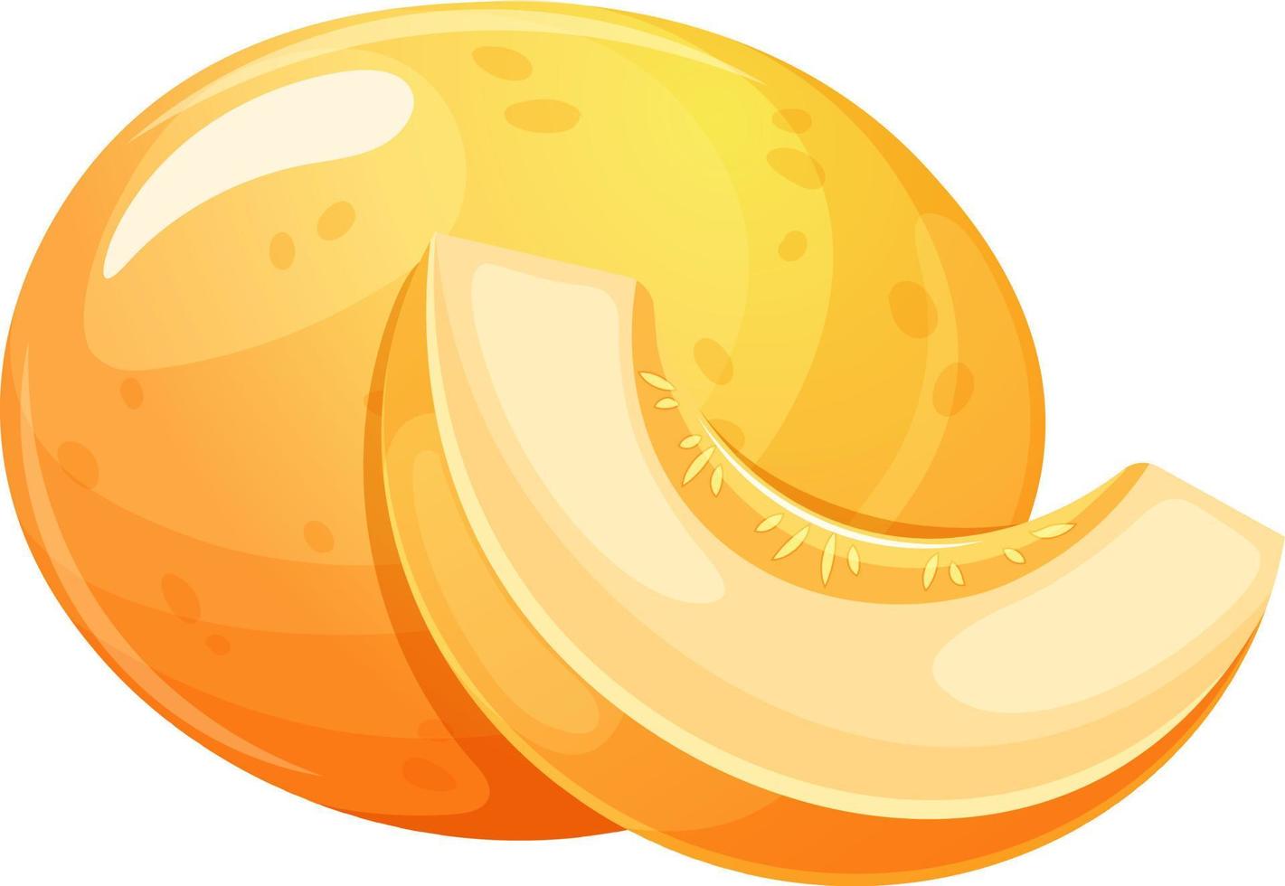 Whole cartoon melon and piece, slice on transparent background vector