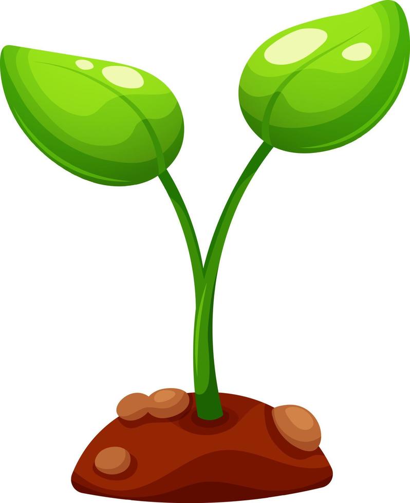 Sprout of plant, small plant with piece of earth in cartoon style vector