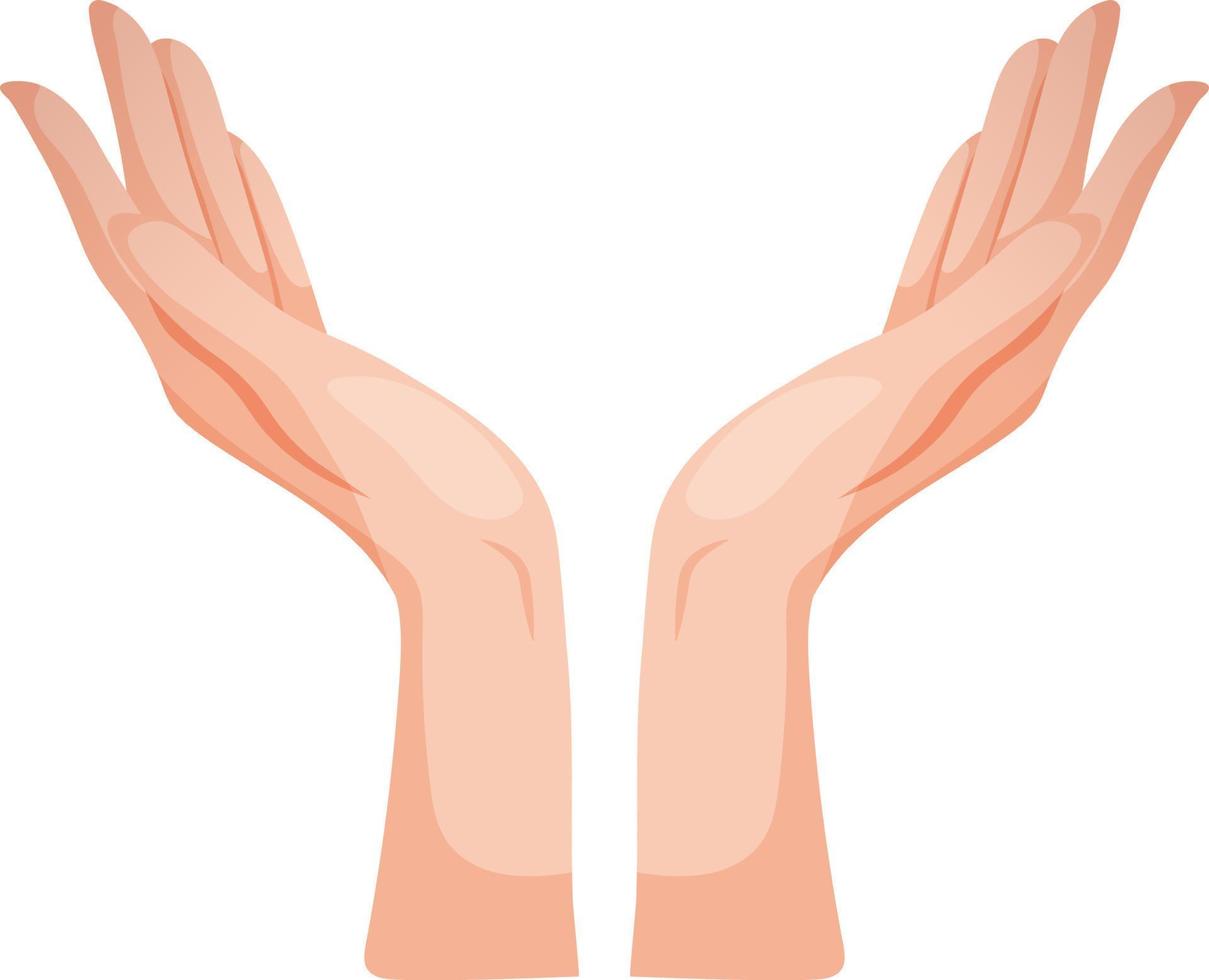 Vector image of hands pointing up. Two hands on a transparent background