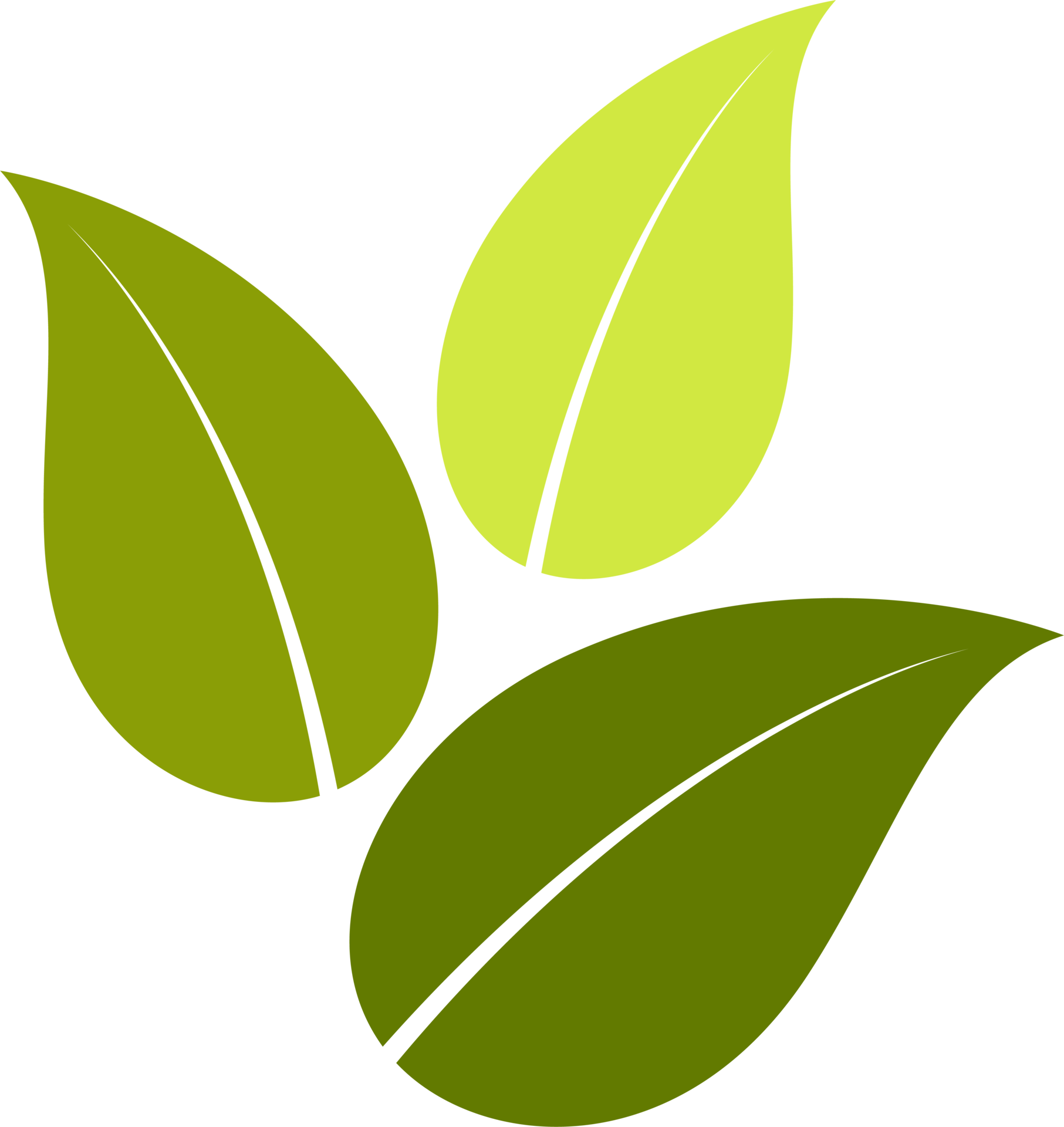 Tea leaves.leaf illustration design. 20951545 PNG