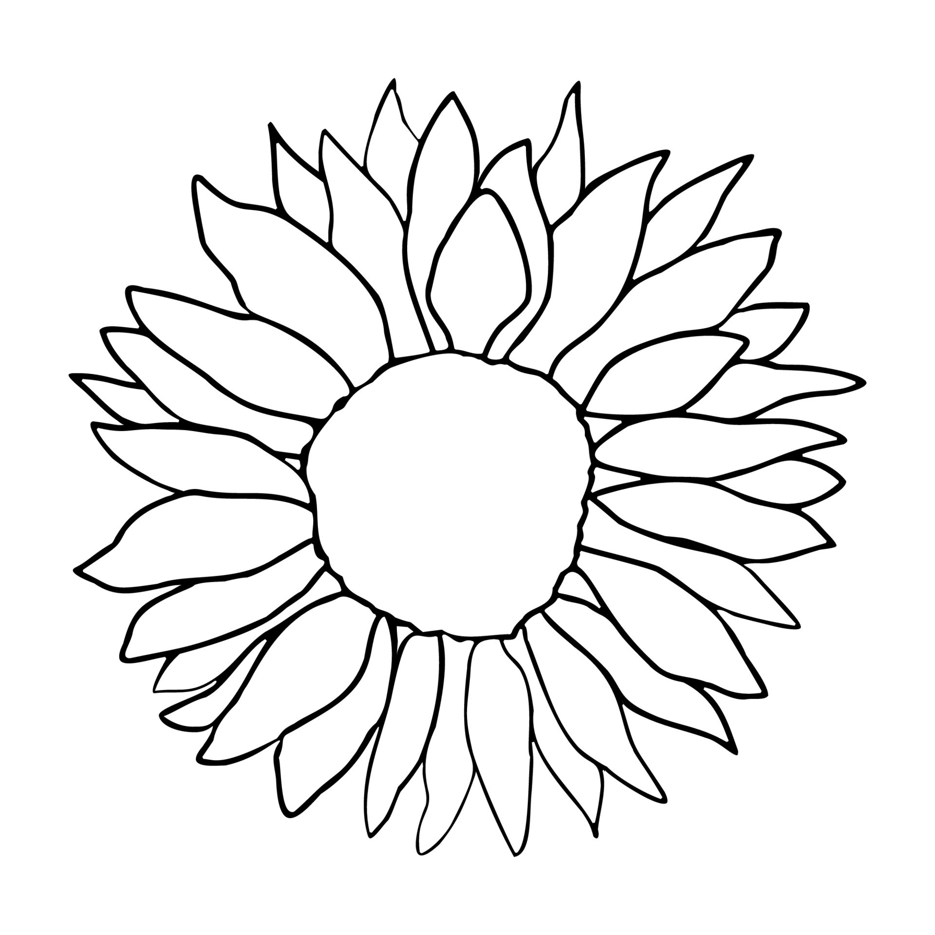 Sunflower head flower, ink line art hand drawn 20951757 Vector Art at