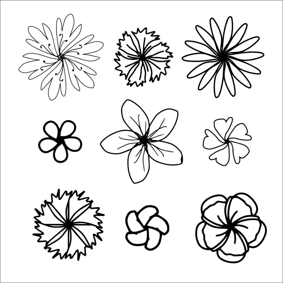 Doodle flower set for coloring page vector