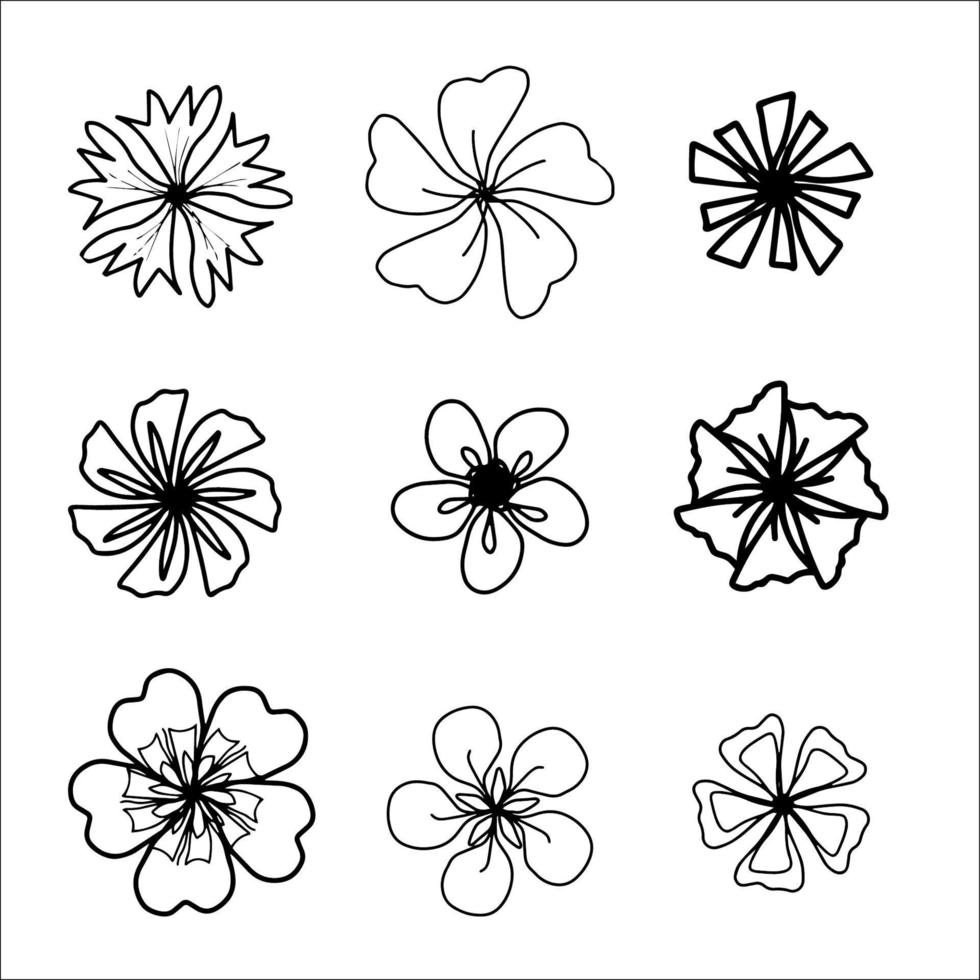 garabatear flor conjunto para colorante página vector