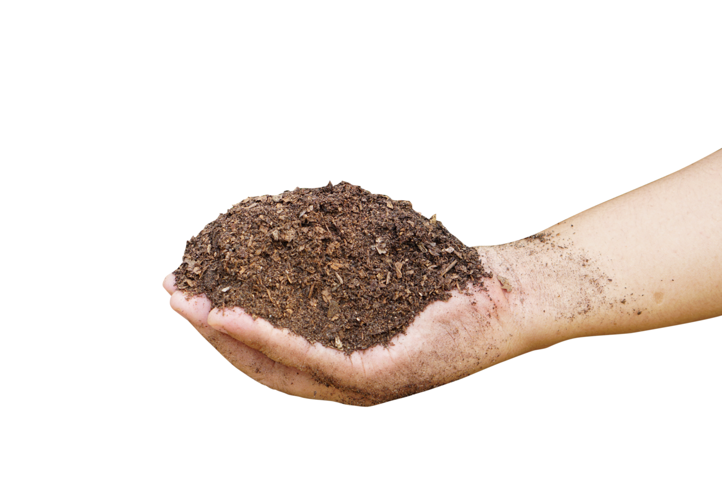 bodem voor groeit planten in menselijk handen png