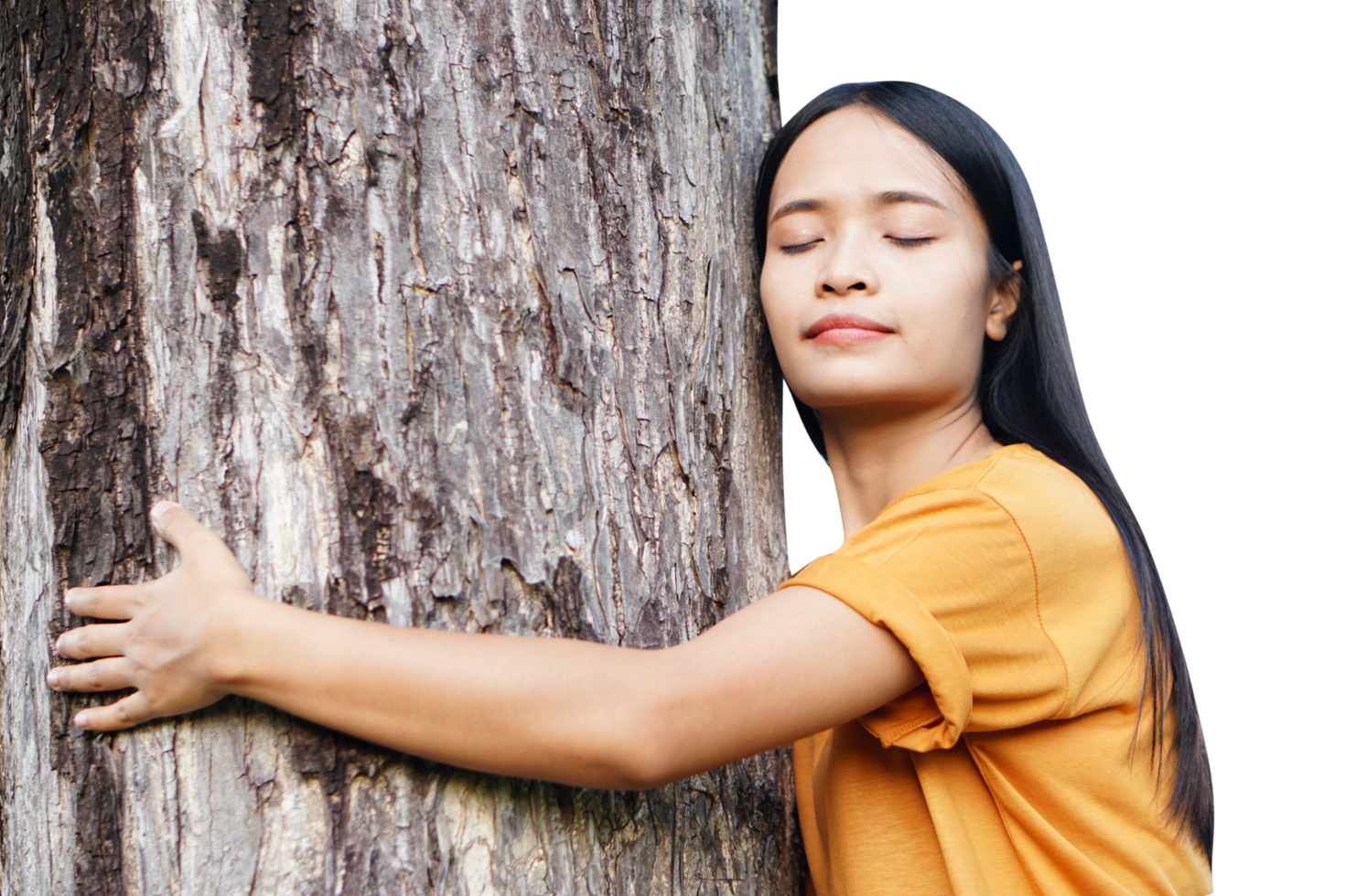 concept of saving the world Asian woman hugging a tree png