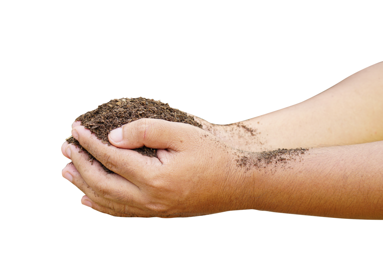 Soil for growing plants in human hands png