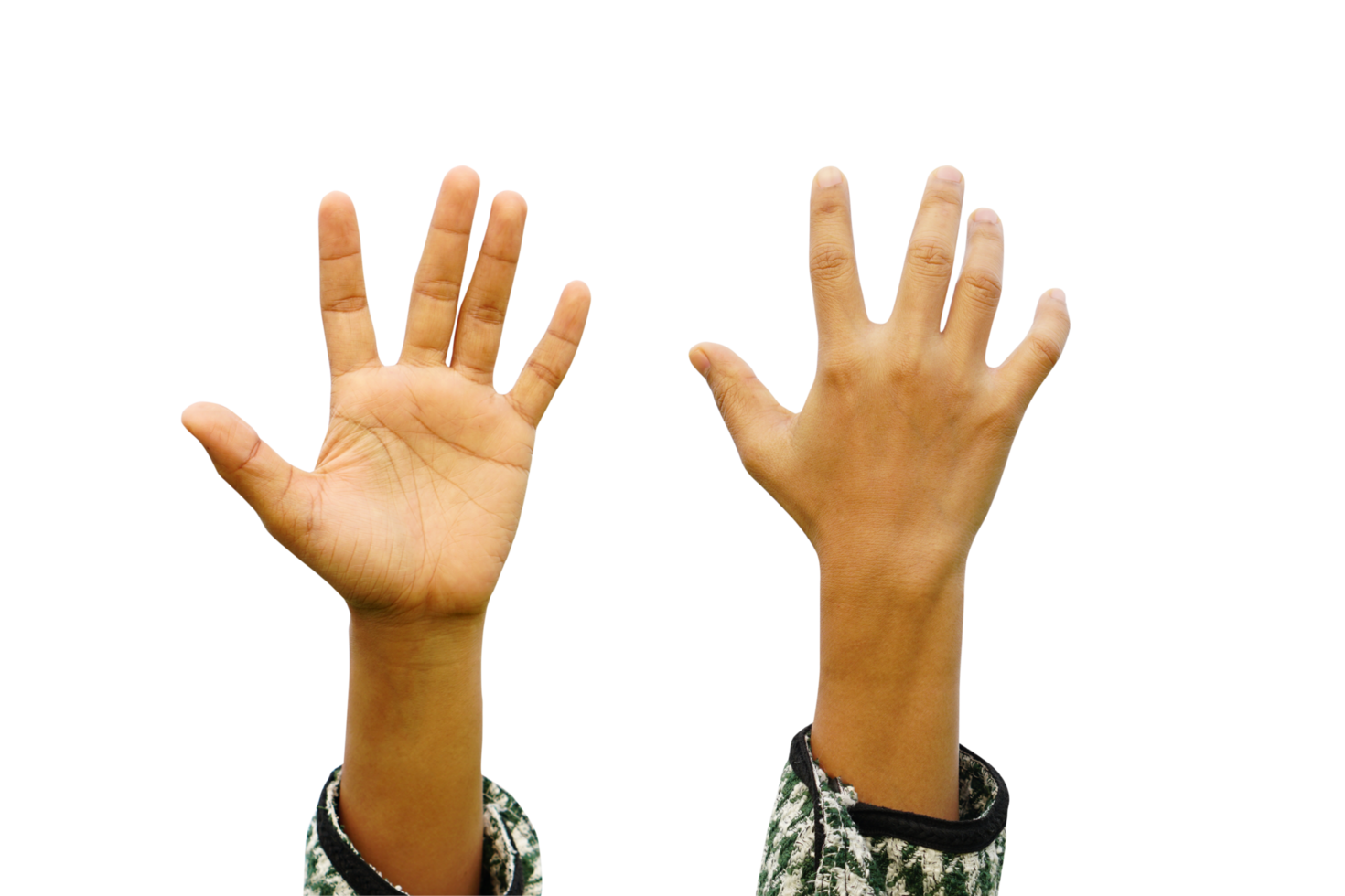 Human hands front and back png