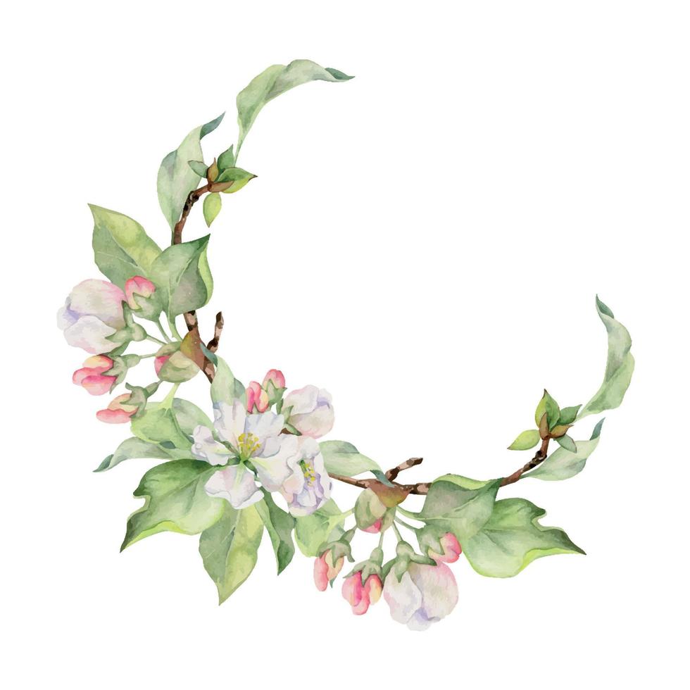 Hand drawn watercolor apple flowers, branches and leaves, white, pink and green blossom. Circle round wreath. Isolated on white background. Design for wall art, wedding, print, fabric, cover, card. vector